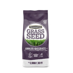 Pennington 100082632 Annual Ryegrass grass seed