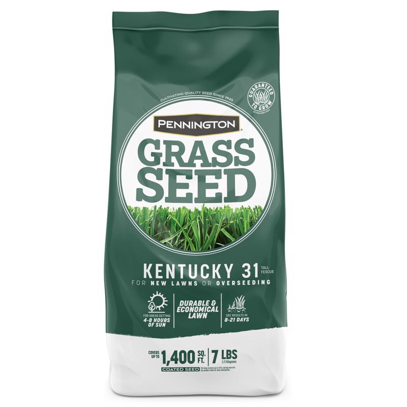 Pennington Kentucky 31 Tall Fescue Grass Seed