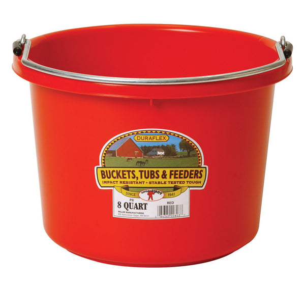 Plastic Animal Feed Bucket (Purple) - Little Giant - Round Plastic Feed Bucket with Metal Handle (8 Quarts / 2 Gallons) (Item No. P8RED6)