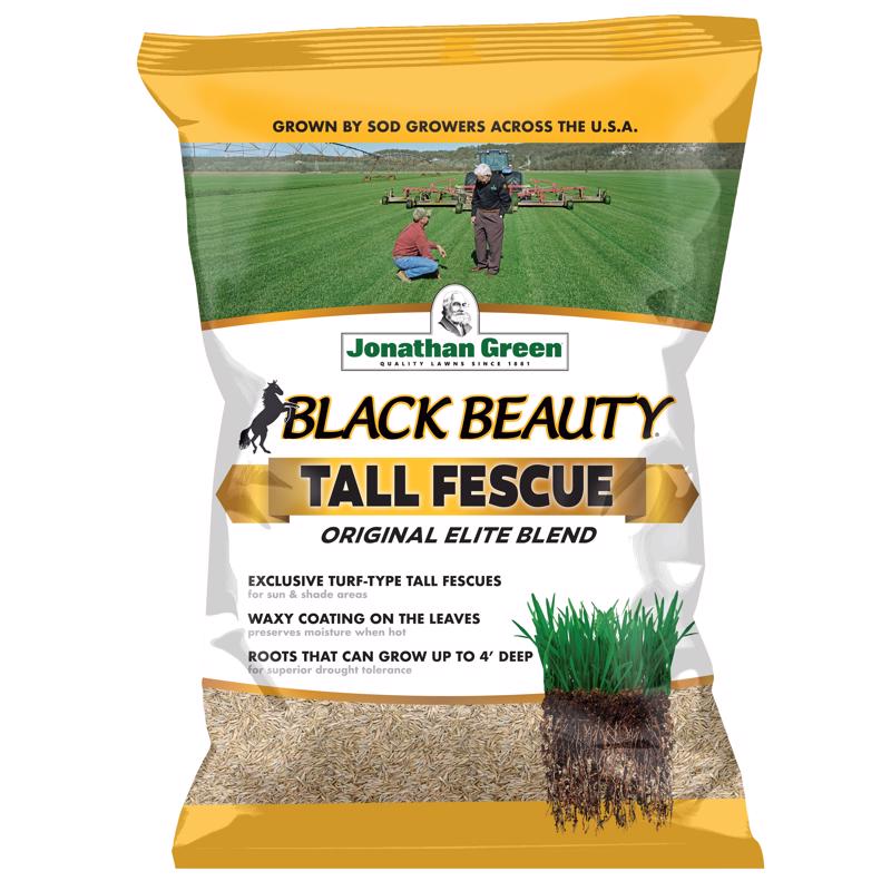 Jonathan Green (10314) Black Beauty Tall Fescue Original Grass Seed Blend - Cool Season Lawn Seed (3 lb)
