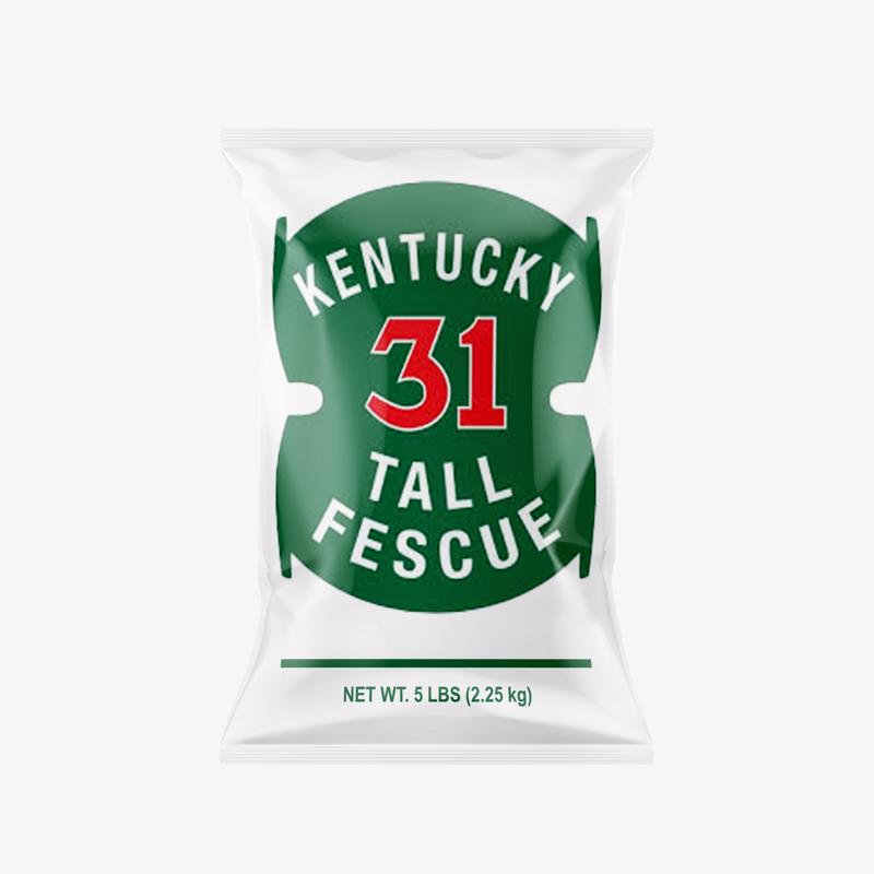 Barenbrug Tall Fescue Grass Seed 5 lb.
