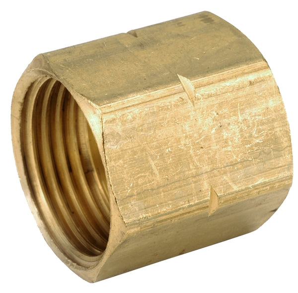 Anderson Metals 757402-12 .75 x .75 in. Female Garden Hose Adapter