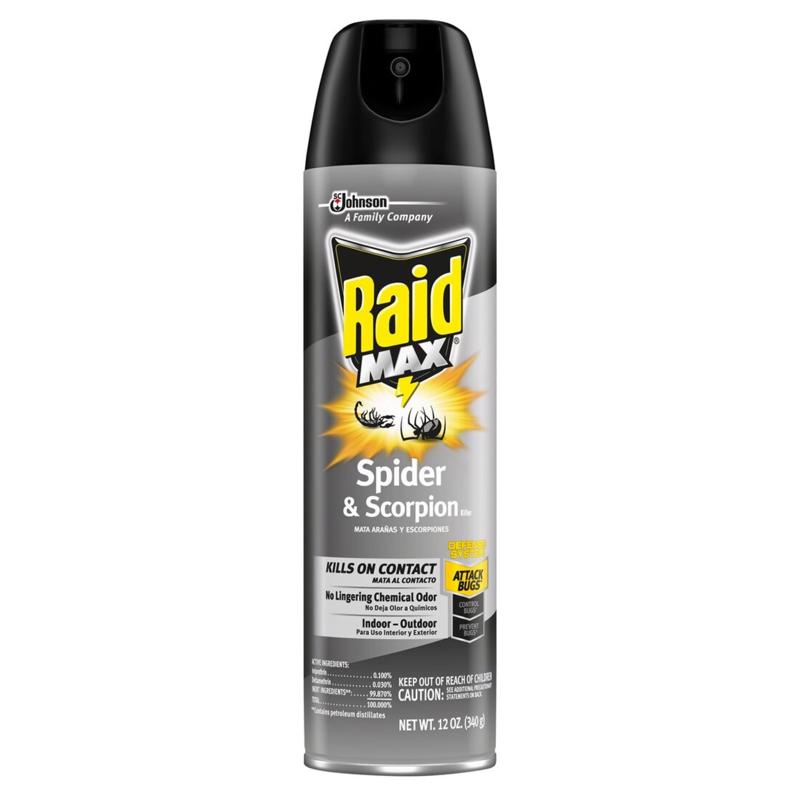 Raid Spider and Scorpion Killer, Kills spiders, scorpions, roaches, ants, Waterbugs, earwigs, 12 Oz