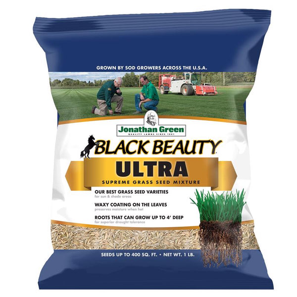 Jonathan Green (10320) Black Beauty Ultra Grass Seed - Cool Season Lawn Seed (1 lb)