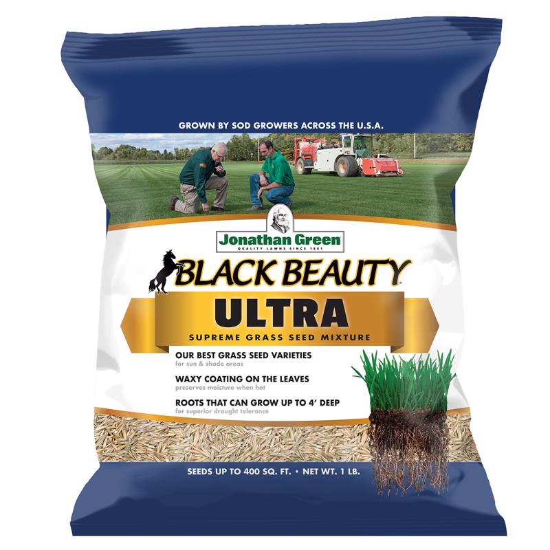 Jonathan Green (10320) Black Beauty Ultra Grass Seed - Cool Season Lawn Seed (1 lb)