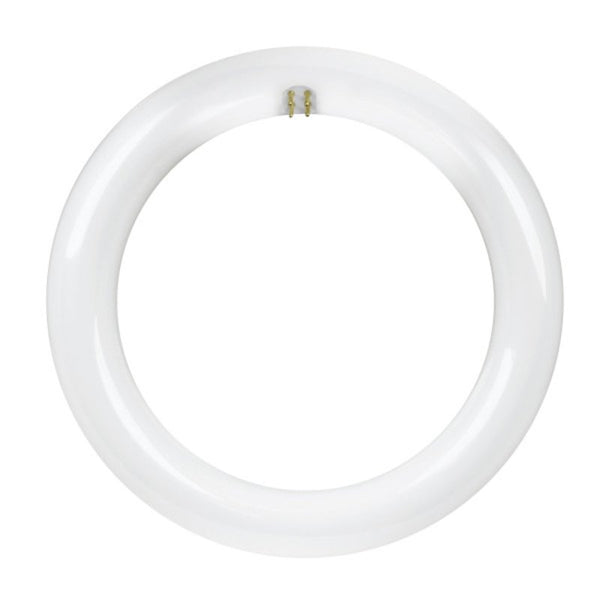 Feit Electric 8-inch 15 Watt LED Circular Tube T9 Replacement, Cool White, 4100K, G10Q Base, Plug & Play, Requires Compatible Existing Ballast, FC8/840/LED 22W EQ Non-DM LED Tube