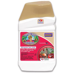 Bonide Captain Jack's Deadbug Brew, 16 oz Concentrate Outdoor Insecticide and Mite Killer for Organic Gardening 2526