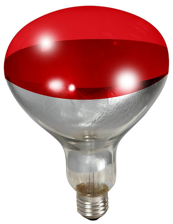 Miller Little Giant Red Heat Lamp Bulb 170024