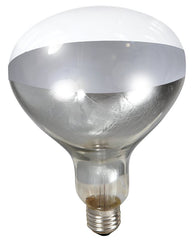 Little Giant? Bulb for Brooder Lamp | Heat Lamp | 6000 Hour Life | 250 Watt | Clear Bulb 170031
