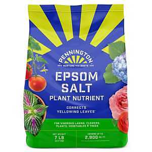 Pennington 397606 Epsom Salt Plant Nutrient, 7 lb
