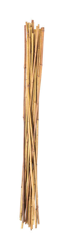 Panacea Bamboo Stake 36" 24PK Brown 89783 (6-Pack)