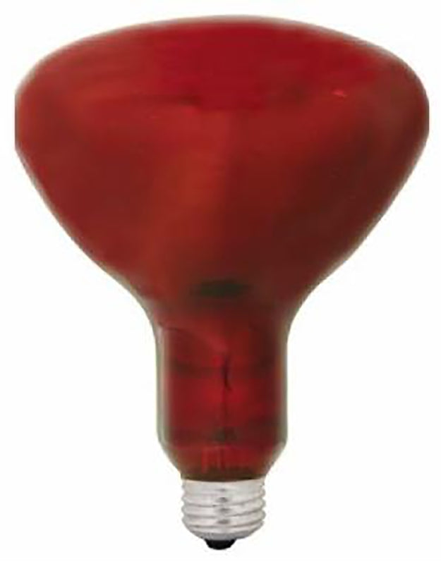 GE Lighting 37771 Red Heat Lamp Light Bulb (24-Pack)