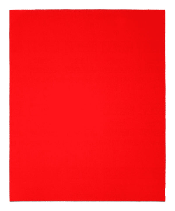 Freud Diablo 9x11 Sheet 20PK 60G DCS911060S20G