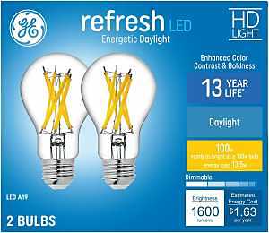 (2-Pack) GE Relax LED Vintage 60 watt equivalent ST19 Soft White Dimmable Decorative Light Bulb