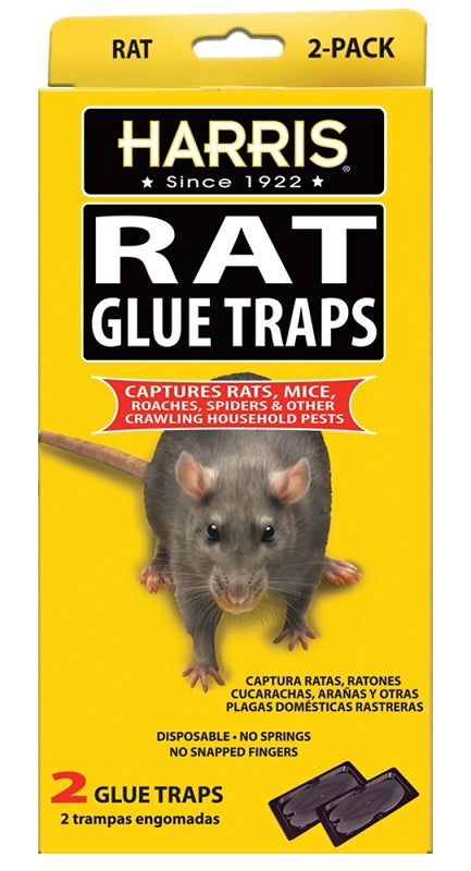 HARRIS Rat Glue Traps, Fully Disposable (2-Pack) HRG-2