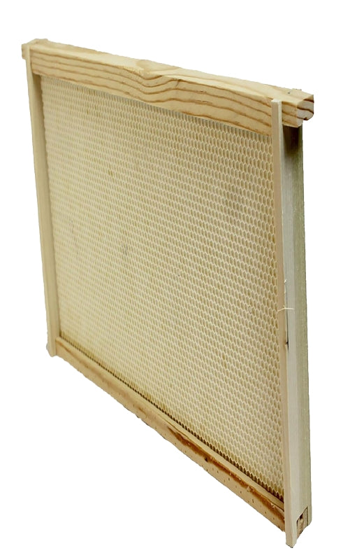 Harvest Lane Honey WWFFD-101 Frames/Foundation Deep
