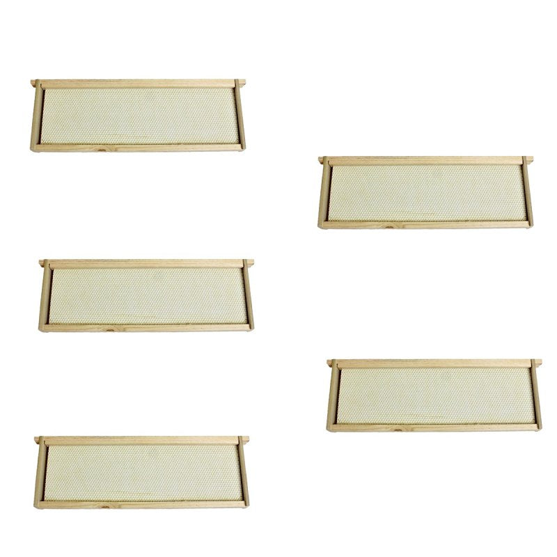 Harvest Lane Honey WWFFM-102-5 Assembled Medium Frames & Foundation, 5 Pack