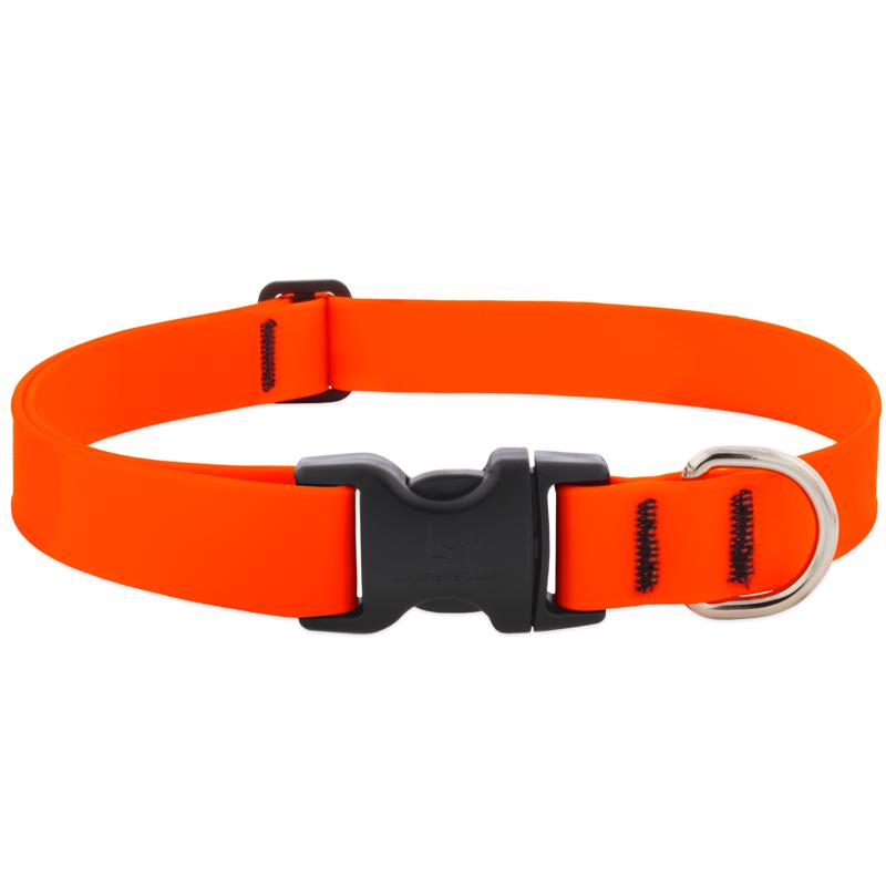 LupinePet Waterproof BioThane 1" Dog Collar for Medium to Large Breeds, Color: Neon Orange, Medium: Adjusts from 12 to 20 in, 1-in Wide