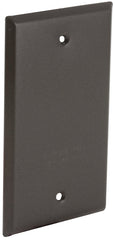 Hubbell-Bell 5173-2 Blank Weatherproof Single Gang Device Mount Cover, Bronze