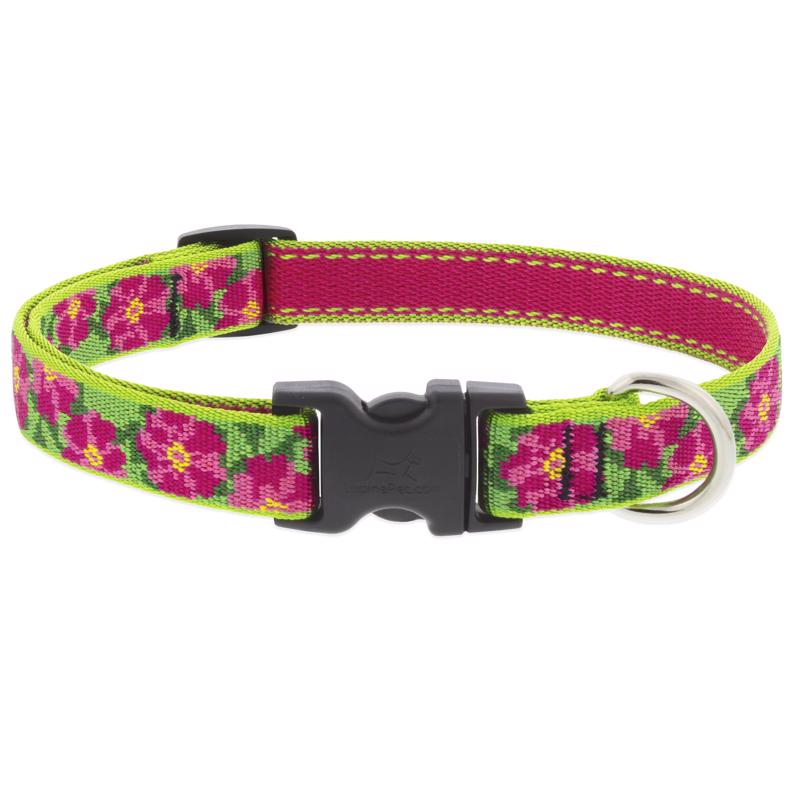 Lupine Small Dog Collar 3/4" wide Petunias design Adjusts from 9" to 14"