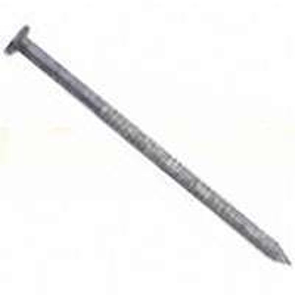 Maze Nails T449A125 10D Pressure Treated Wood Nail T449A112