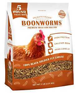Pecking Order Boonworms 100% Black Soldier Fly Larvae