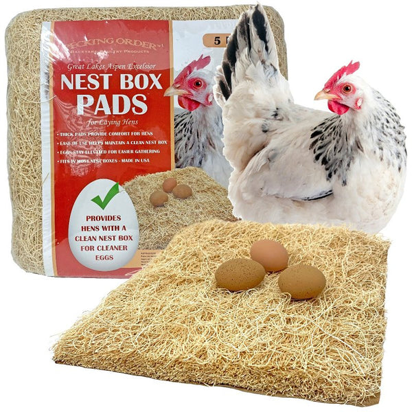 Pecking Order Nest Box Pads for Chicken Nesting Boxes - 13 x 13 Pads Made in USA from Sustainably Sourced Aspen Excelsior (5 Pack) 9306