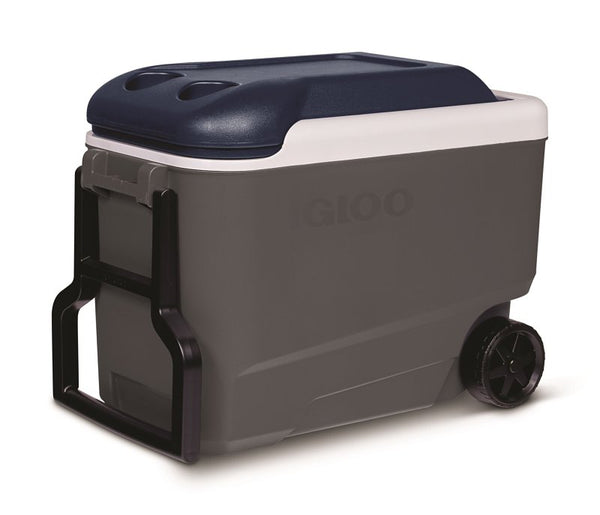 Tools Igloo Maxcold 40 Roller (Ash Gry.Wht.Aegean Sea.Blk) 00034814, 38 Litre