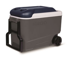 Tools Igloo Maxcold 40 Roller (Ash Gry.Wht.Aegean Sea.Blk) 00034814, 38 Litre