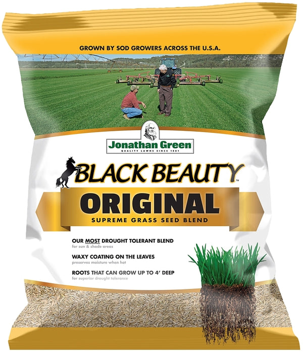 Arett Black Beauty 10318 grass seeds