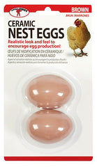 Miller Little Giant? Ceramic Nest Eggs | Artificial Eggs to Encourage Egg Production | Brown Ceggbrn