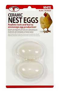 Little Giant® Ceramic Nest Eggs | Artificial Eggs to Encourage Egg Production | White