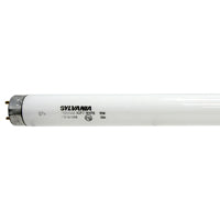 BULB FLUOR WARMWHT 18IN T8 15W