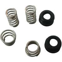 Exclusively Orgill Seat and Spring Kits, Stainless Steel/Rubber, Silver, Black, 6-Piece