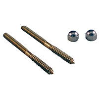 Danco 9D00088942 88942 1/4" X 31/2" Closet Screws Stainless Steel