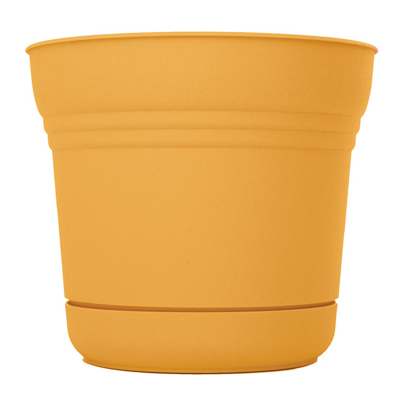 Bloem SP0723 Planter, 7 in Dia, 7.3 in W, Saturn Design, Earthy Yellow, Matte