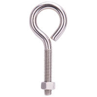 Mintcraft 3/8X4 Stainless Steel Eye Bolt W/Nut LR298